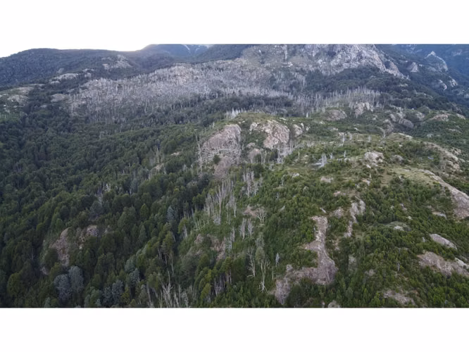 FUTALEUFU CAMPO CORDILLERANO 251,5 HA