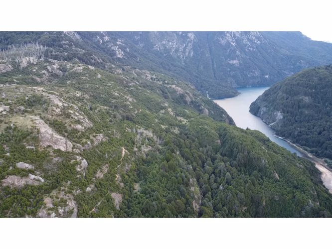 FUTALEUFU CAMPO CORDILLERANO 251,5 HA