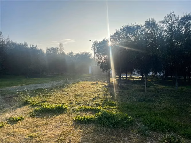 Parcela en arriendo en Olivares de Quepo, Pencahue