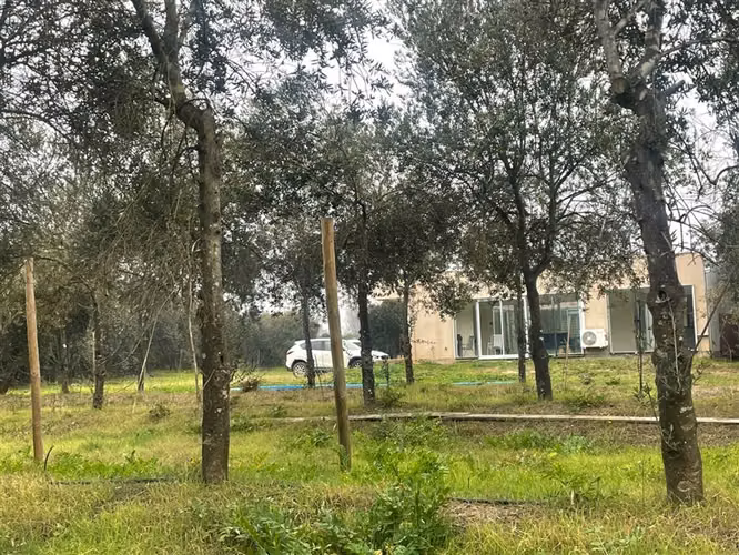 Parcela en arriendo en Olivares de Quepo, Pencahue