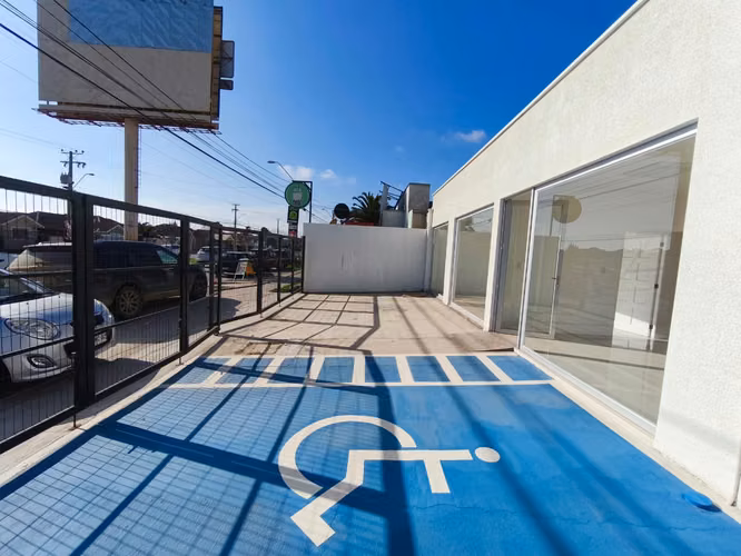 Local Comercial u Oficina 180 m2 Construidos Av. Ulriksen