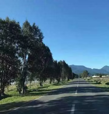 Parcelación Ecológica Alerce Escondido (170115)