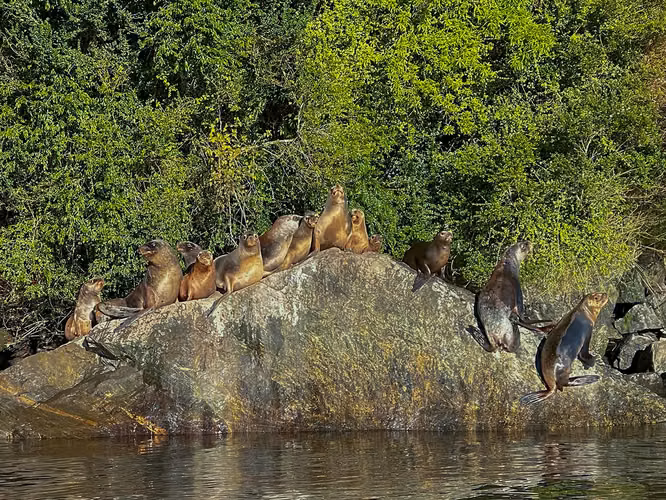 Reserva Austral Jacaf Patagonia
