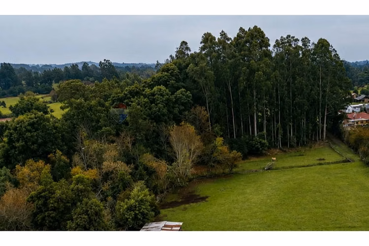 6,8 ha con agua y luz, ideal para inversión.