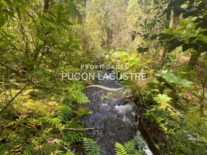 VENTA PARCELA CON ESTERO LOS RISCOS - PUCON (170216) - Imagen 14