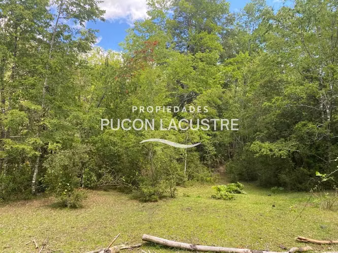 VENTA PARCELA CON ESTERO LOS RISCOS - PUCON (170216) - Imagen 10