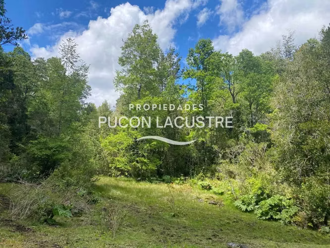 VENTA PARCELA CON ESTERO LOS RISCOS - PUCON (170216) - Imagen 8