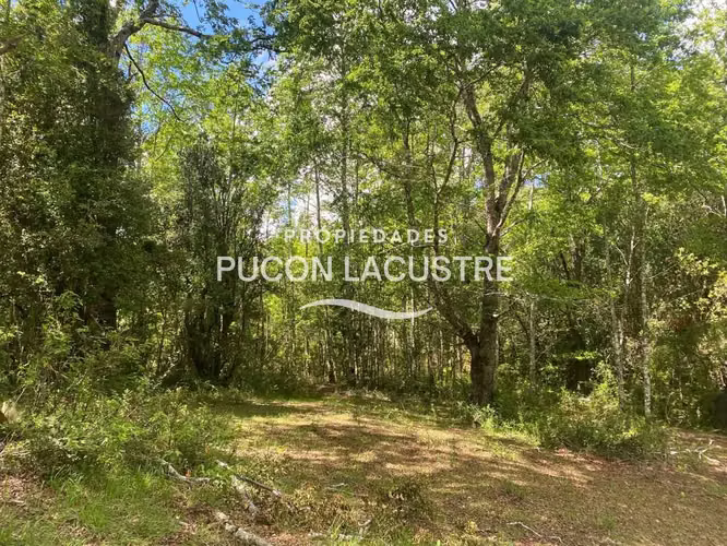 VENTA PARCELA CON ESTERO LOS RISCOS - PUCON (170216) - Imagen 11