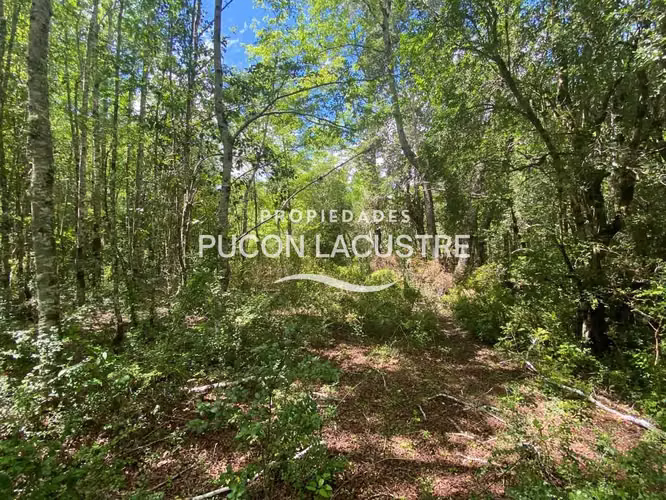 VENTA PARCELA CON ESTERO LOS RISCOS - PUCON (170216) - Imagen 13