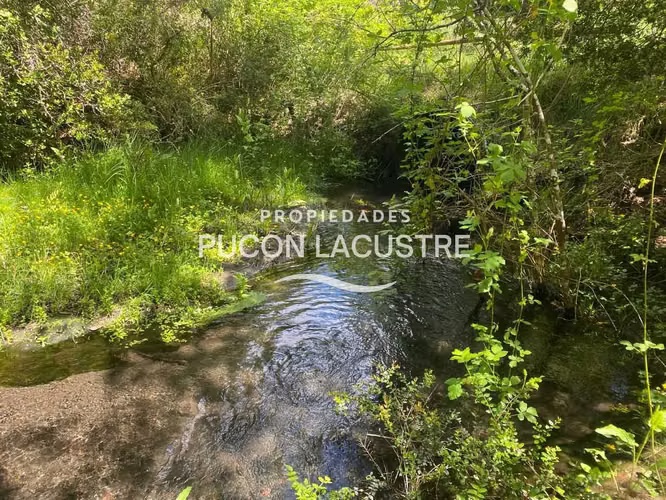 VENTA PARCELA CON ESTERO LOS RISCOS - PUCON (170216) - Imagen 12