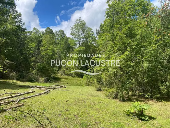 VENTA PARCELA CON ESTERO LOS RISCOS - PUCON (170216) - Imagen 6