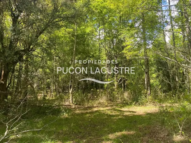 VENTA PARCELA CON ESTERO LOS RISCOS - PUCON (170216) - Imagen 4