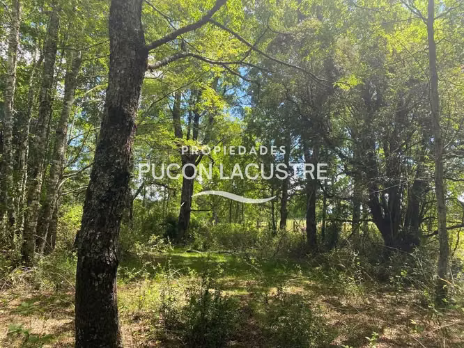 VENTA PARCELA CON ESTERO LOS RISCOS - PUCON (170216) - Imagen 2