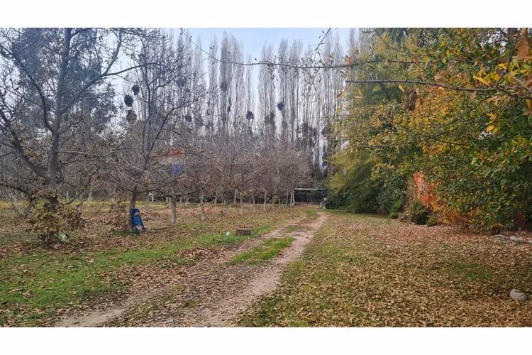 Casa en pirque con gran terreno de 2 parcelas