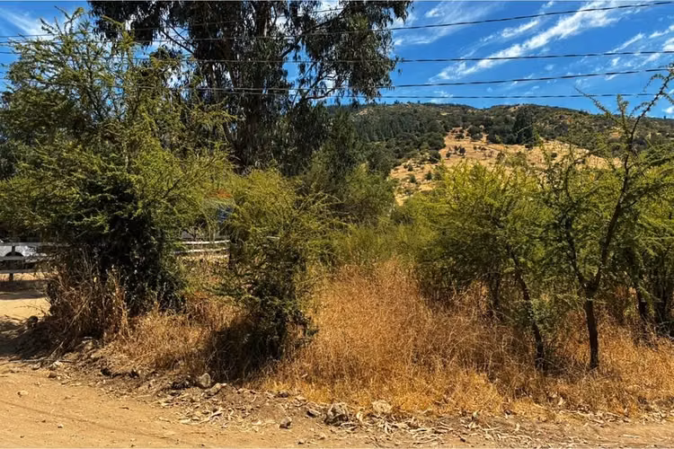 Venta de terreno santa cruz
