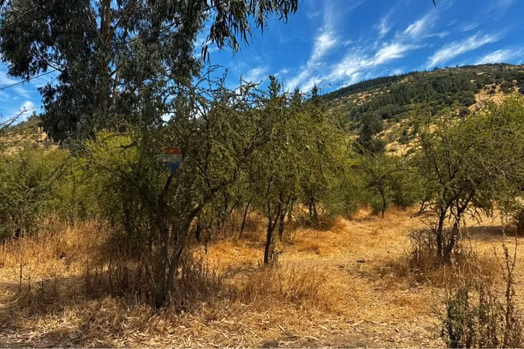 Venta de terreno santa cruz