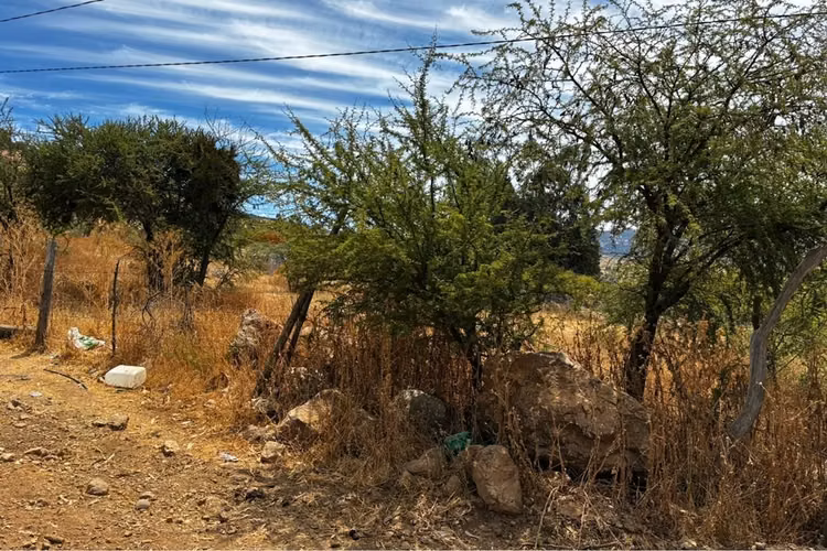 Venta de terreno santa cruz