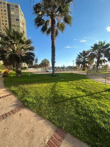 VENTA AMPLIO DEPTO ANTOFAGASTA - Imagen 3