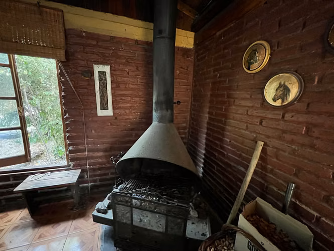 PARCELA CON CASA Y ARBOLES FRUTALES 5600MTS - Imagen 12