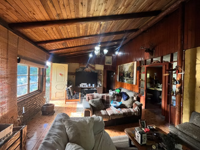 PARCELA CON CASA Y ARBOLES FRUTALES 5600MTS - Imagen 6