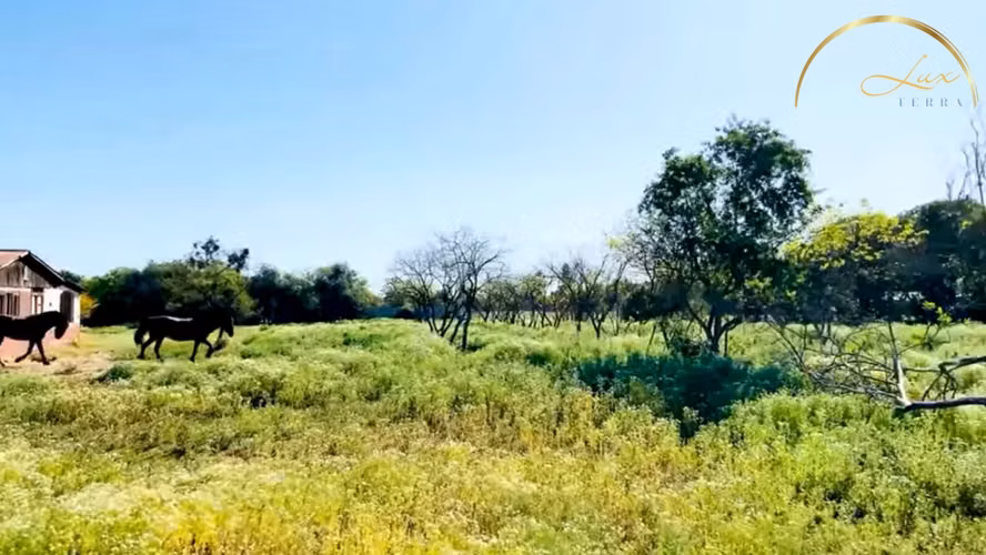 Inversión | Terreno para Construcción | Olmué