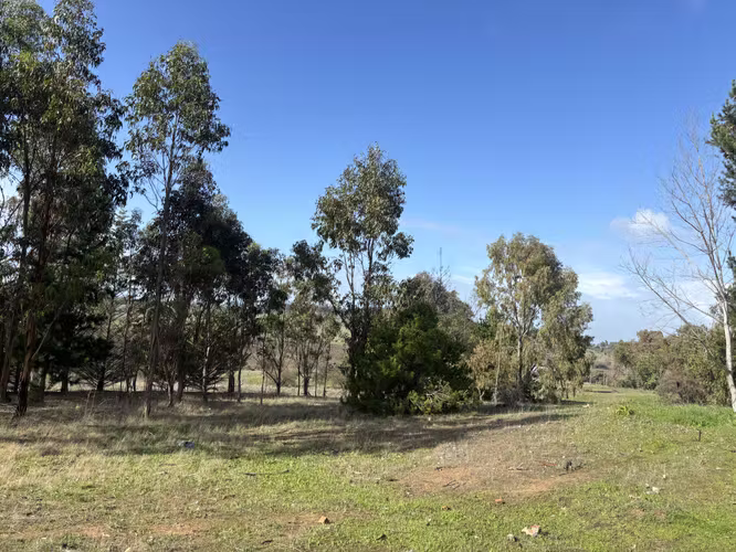 Vendo terreno Camino Cerro Negro Quillon Ñuble