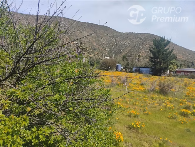 Parcela en venta en Curacaví