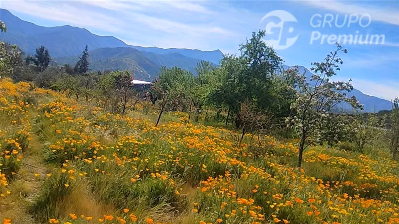 Parcela en venta en Curacaví