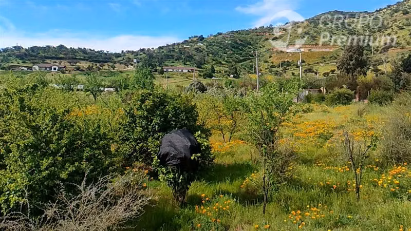 Parcela en venta en Curacaví