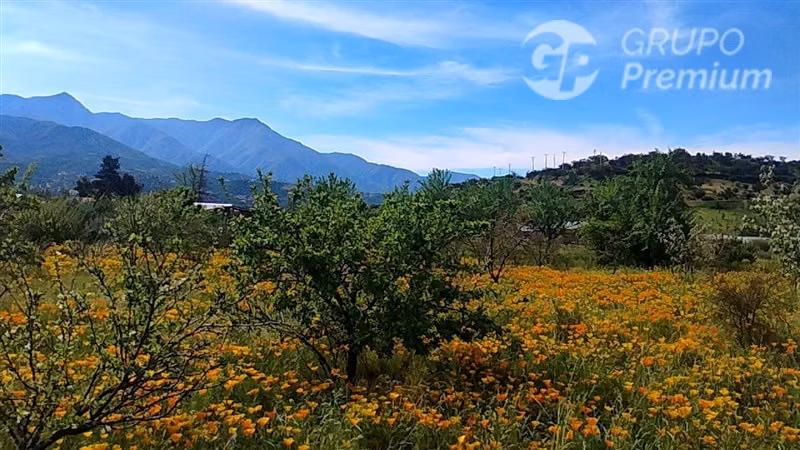 Parcela en venta en Curacaví