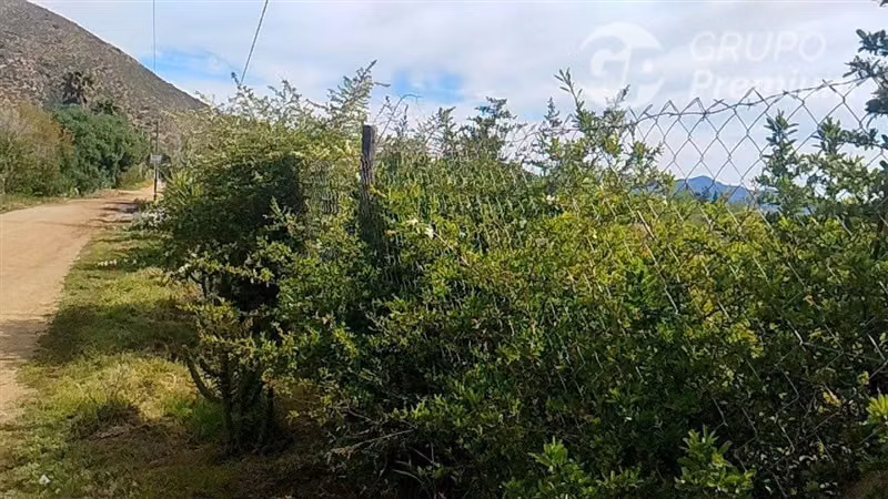 Parcela en venta en Curacaví - Imagen 26