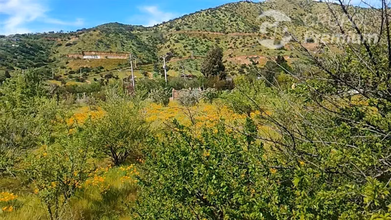 Parcela en venta en Curacaví