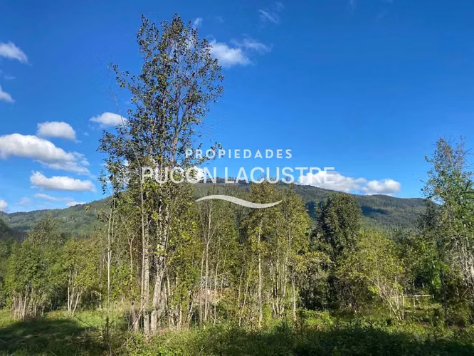 PARCELA SECTOR PTE LUENGO CABURGA (AGUA/LUZ) (170307) - Imagen 16