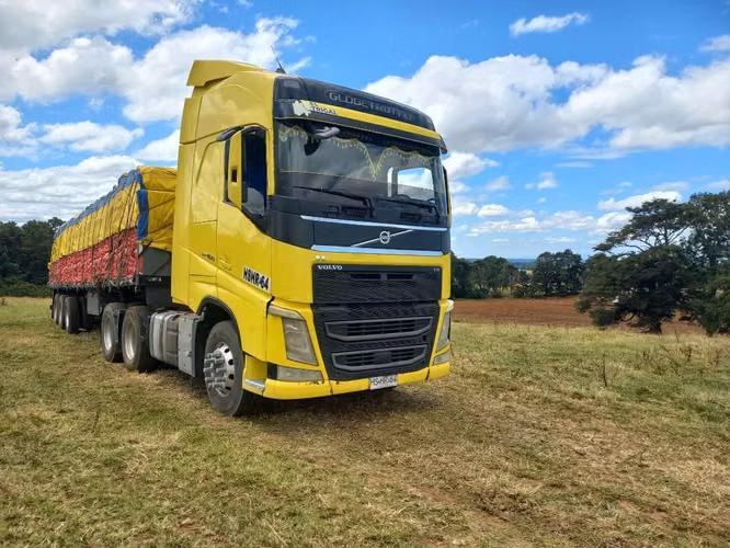 Volvo zamurai
