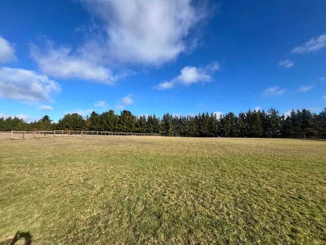 Parcela 5.000 m² en Frutillar | Condominio Cerra (170403)