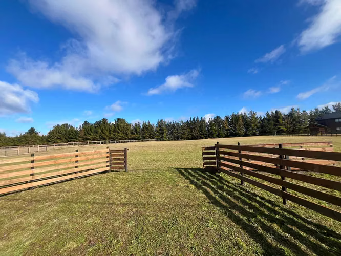 Parcela 5.000 m² en Frutillar | Condominio Cerra (170403)