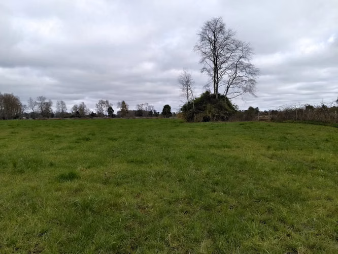 EN VENTA CAMPO DE 4 HECTÁREAS, LOS ESTEROS, LA UNIÓN