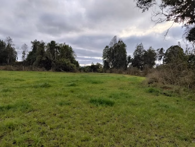 EN VENTA CAMPO DE 4 HECTÁREAS, LOS ESTEROS, LA UNIÓN
