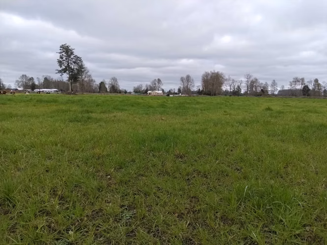EN VENTA CAMPO DE 4 HECTÁREAS, LOS ESTEROS, LA UNIÓN