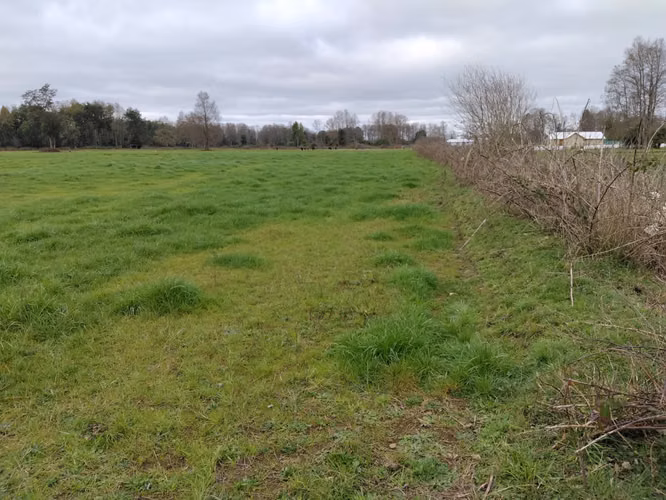 EN VENTA CAMPO DE 4 HECTÁREAS, LOS ESTEROS, LA UNIÓN