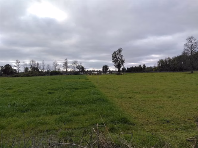 EN VENTA CAMPO DE 4 HECTÁREAS, LOS ESTEROS, LA UNIÓN