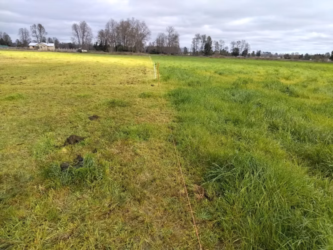 EN VENTA CAMPO DE 4 HECTÁREAS, LOS ESTEROS, LA UNIÓN