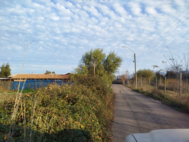 SANTA CRUZ HERMOSO TERRENO DE 7.000 MTRS2 - Imagen 2