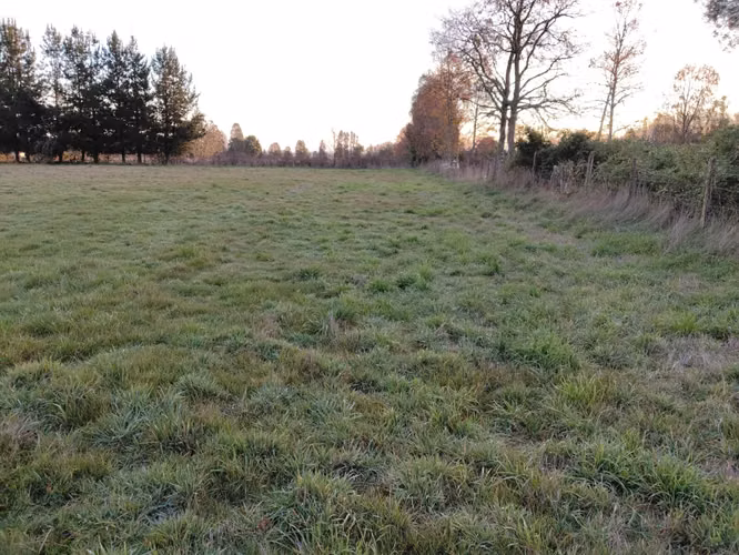 CAMPO DE 3 HECTÁREAS EN VENTA, SANTA REGINA, REGIÓN DE LOS RÍOS