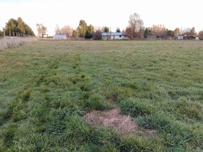 CAMPO DE 3 HECTÁREAS EN VENTA, SANTA REGINA, REGIÓN DE LOS RÍOS