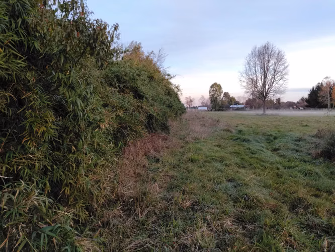 CAMPO DE 3 HECTÁREAS EN VENTA, SANTA REGINA, REGIÓN DE LOS RÍOS
