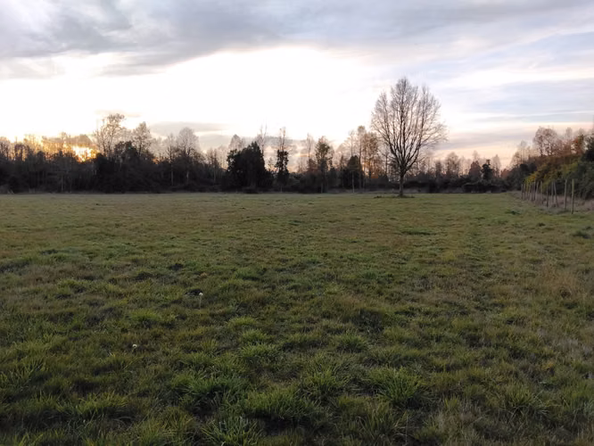 CAMPO DE 3 HECTÁREAS EN VENTA, SANTA REGINA, REGIÓN DE LOS RÍOS
