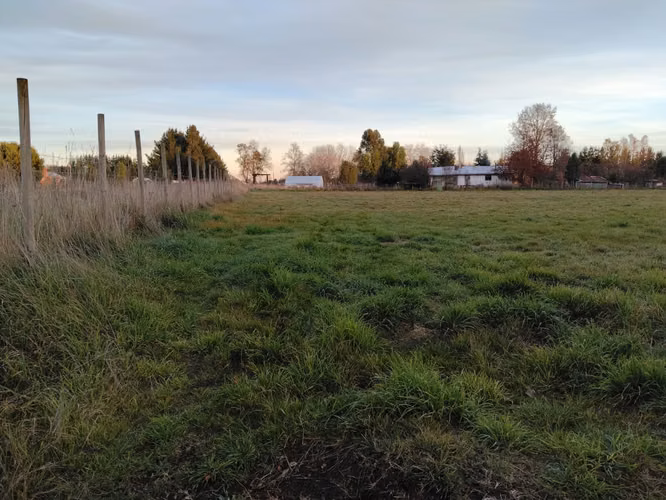 CAMPO DE 3 HECTÁREAS EN VENTA, SANTA REGINA, REGIÓN DE LOS RÍOS