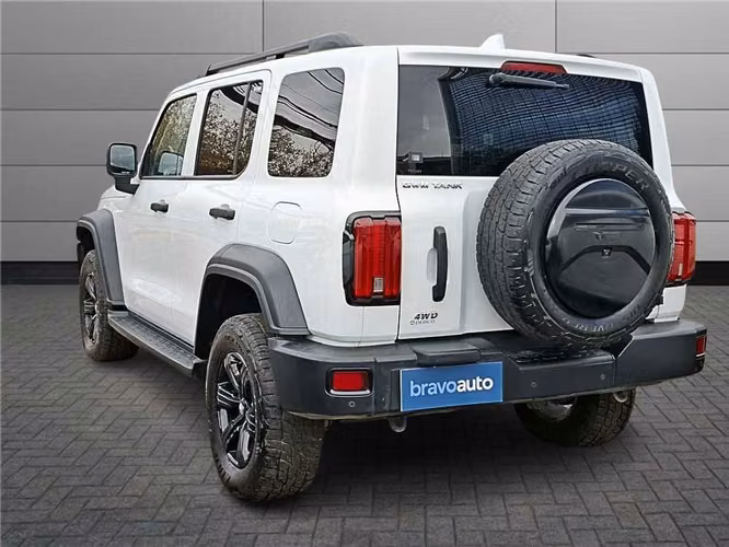 GREAT WALL TANK 300 2024