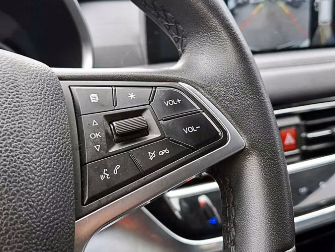 JAC JS8 2024